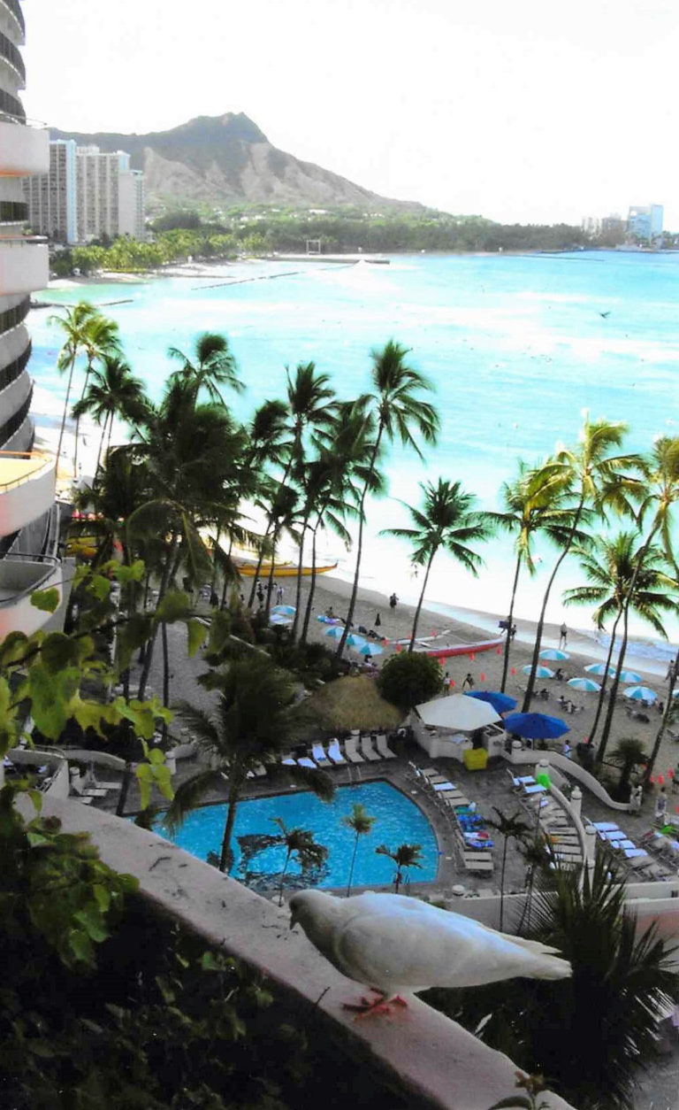 View of ocean, beach, palm trees in Waikiki from a high balcony