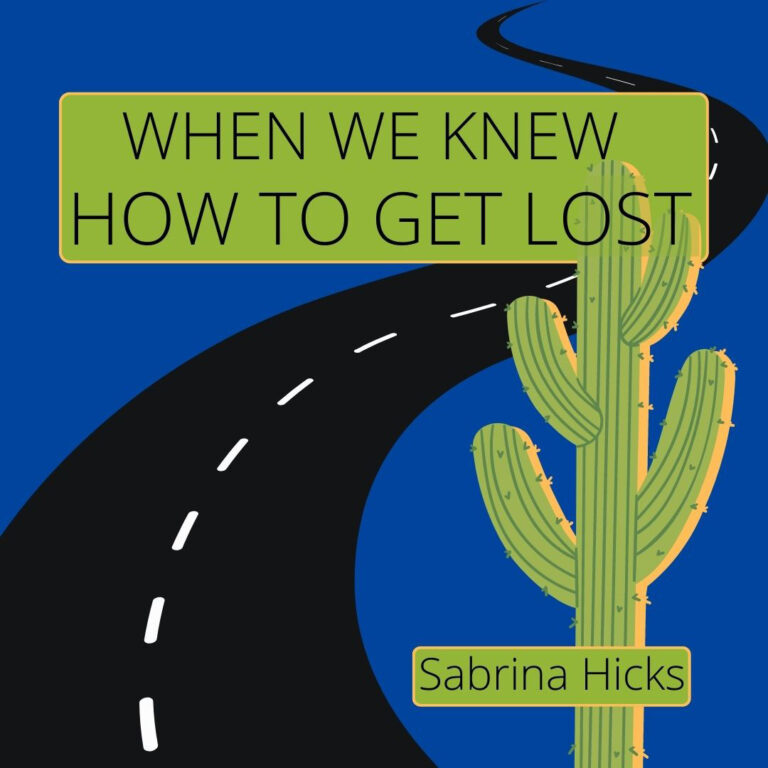 WHEN WE KNEW HOW TO GET LOST by Sabrina Hicks